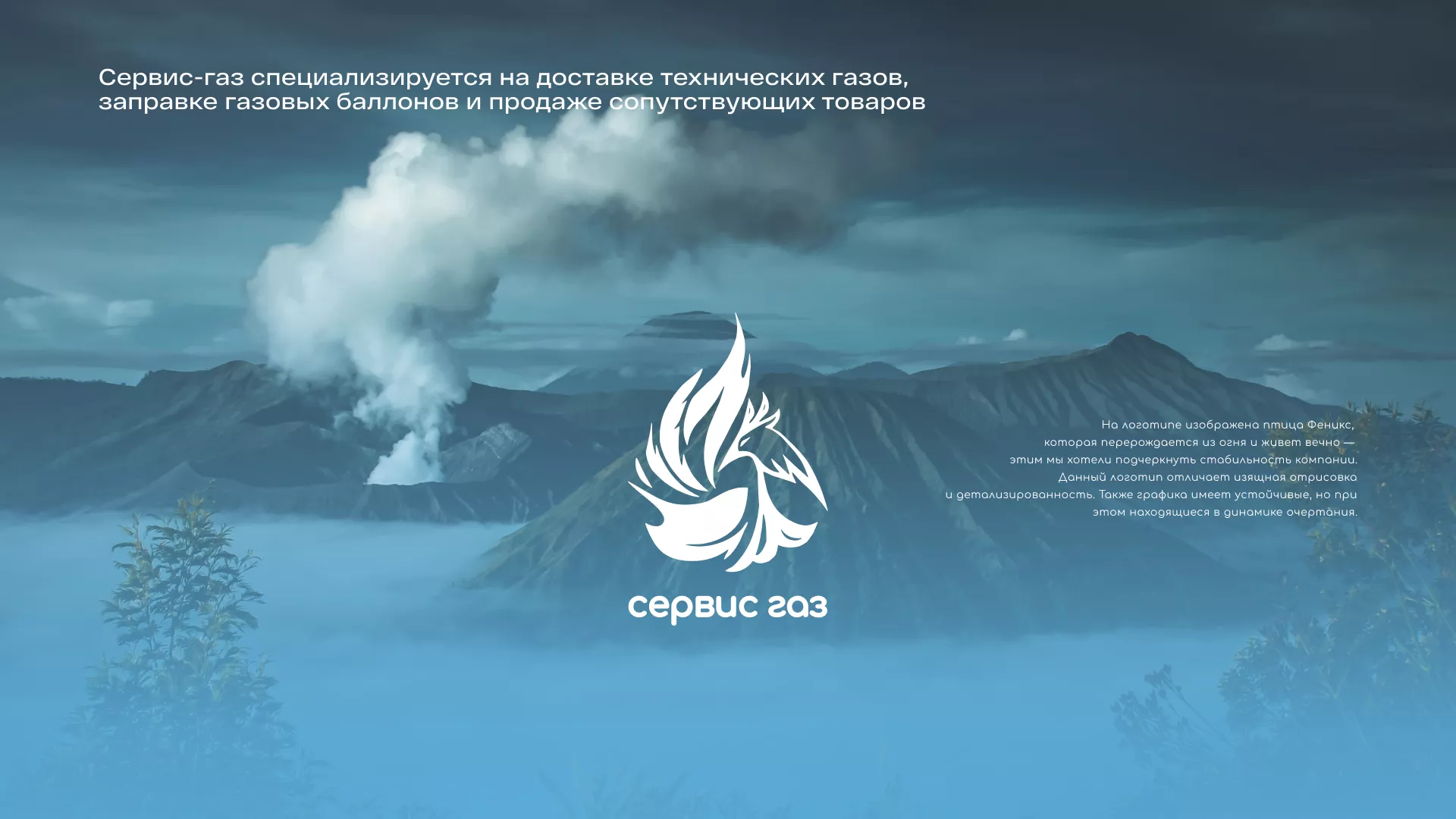 Создание сайта компании «Сервис газ» в Пучеже