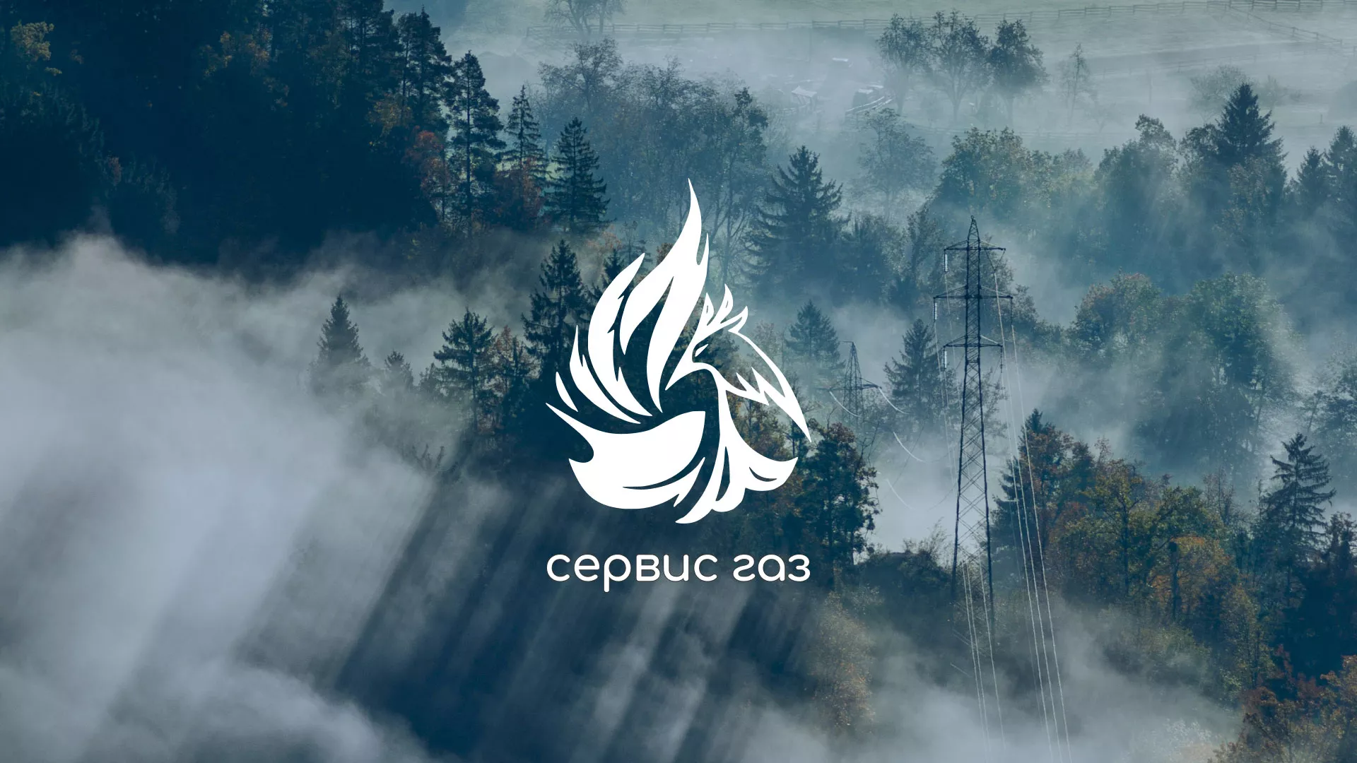 Создание сайта компании «Сервис газ» в Пучеже