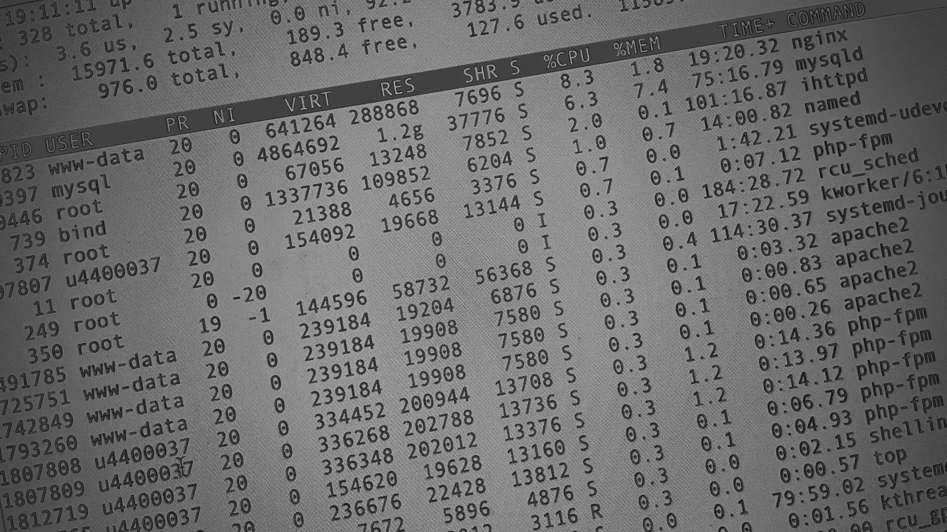 Настройка сервера в Пучеже