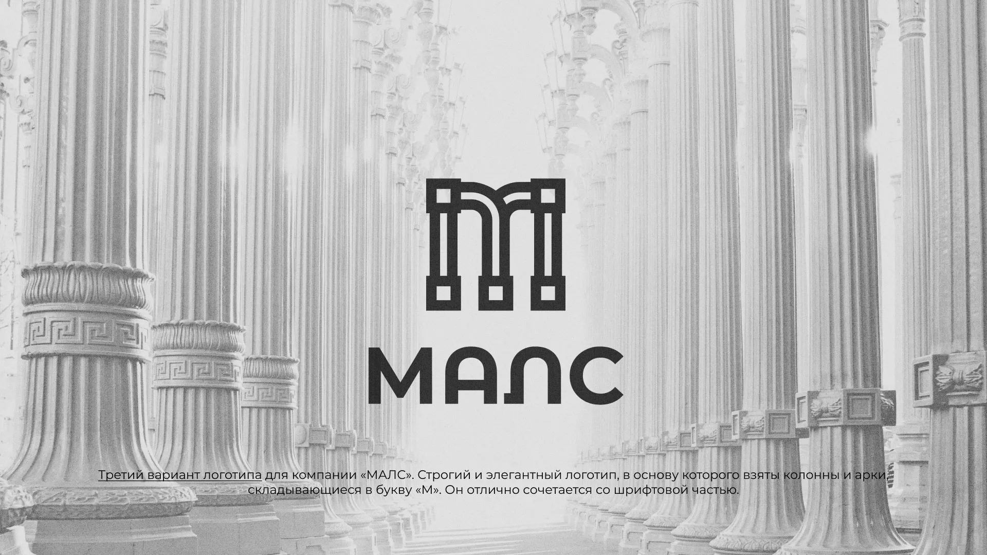 Разработка логотипа компании «МАЛС» в Пучеже