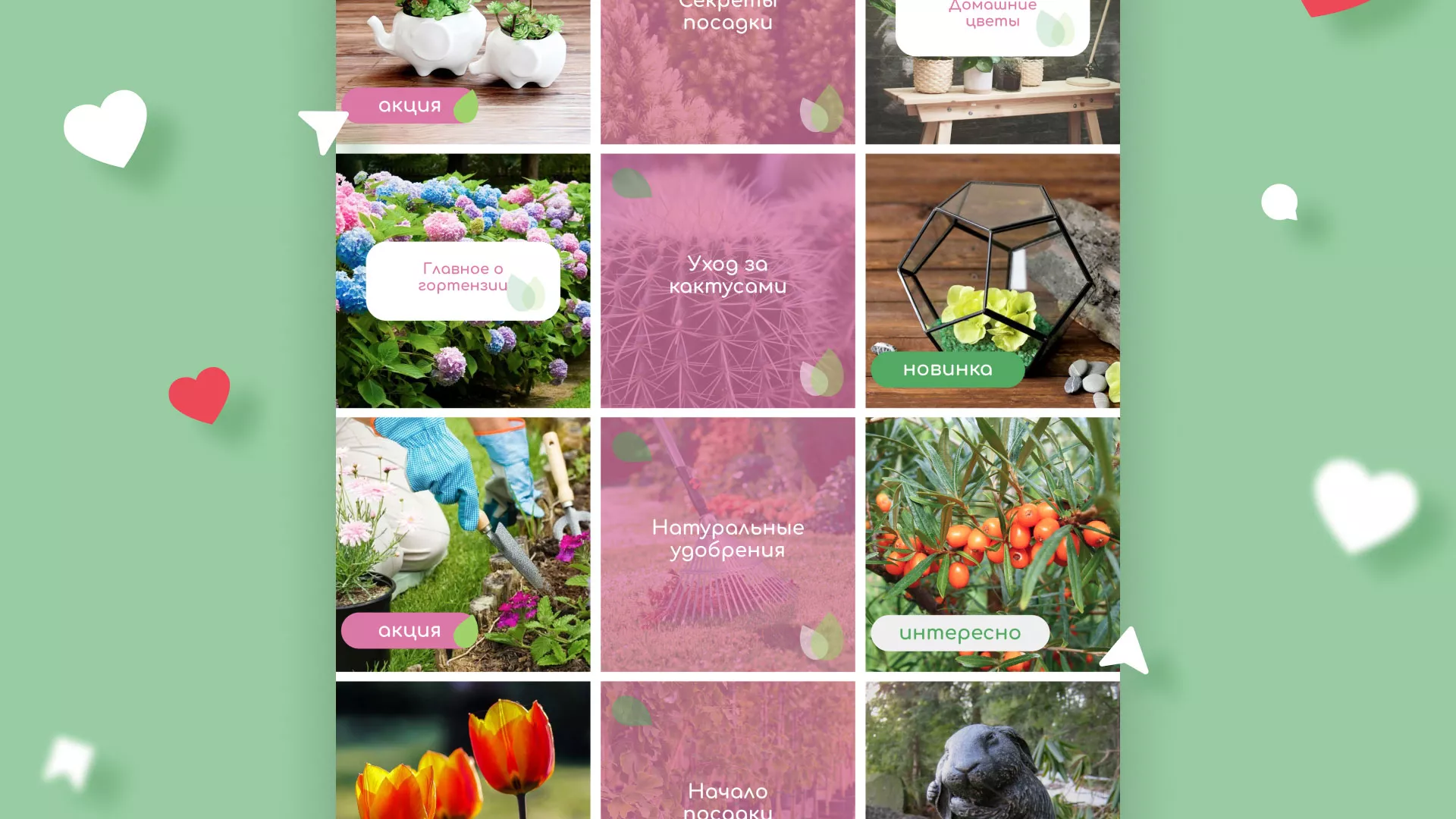 Разработка оформления профиля Instagram для магазина «Floraint» в Пучеже