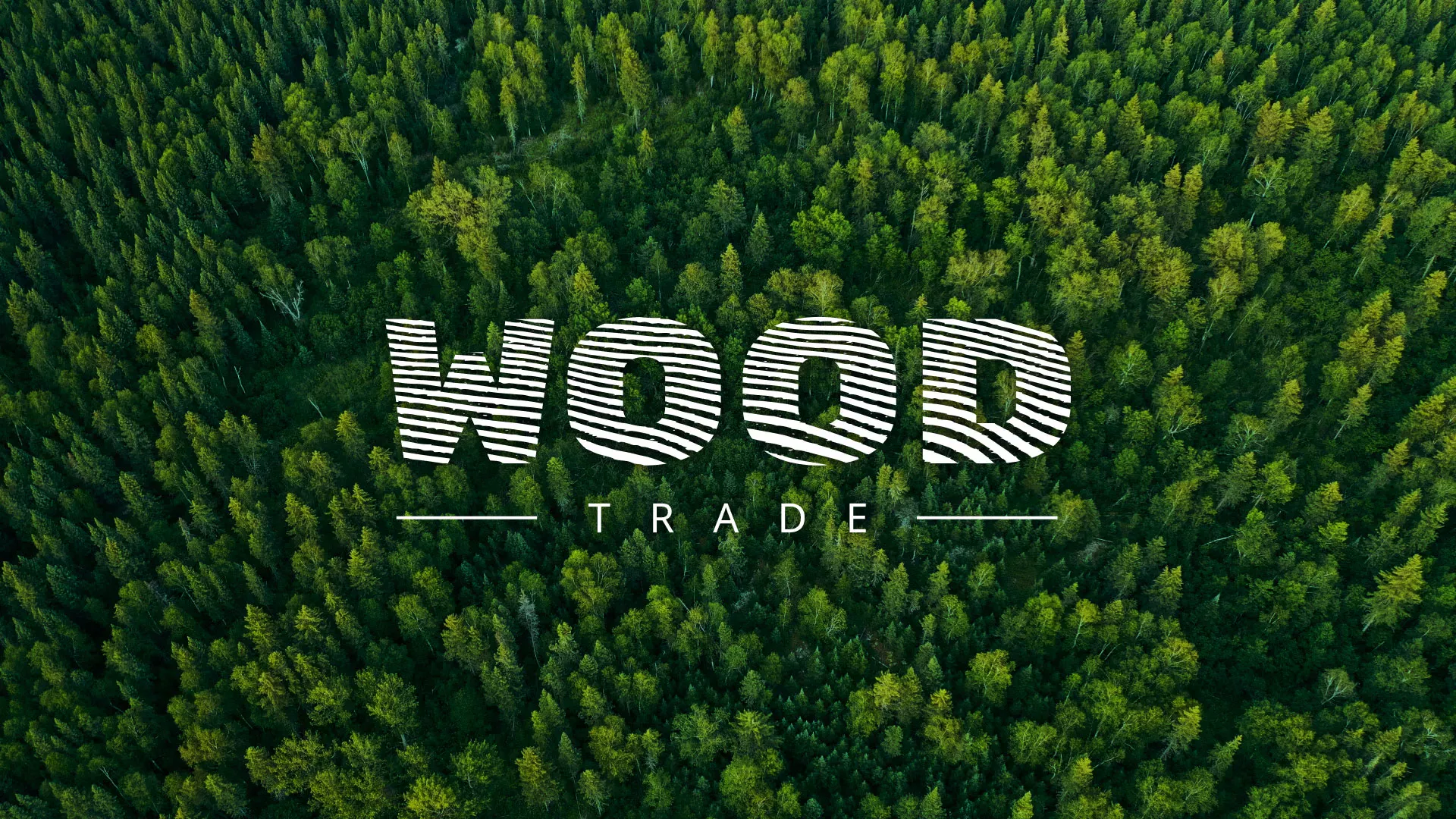 Разработка интернет-магазина компании «Wood Trade» в Пучеже