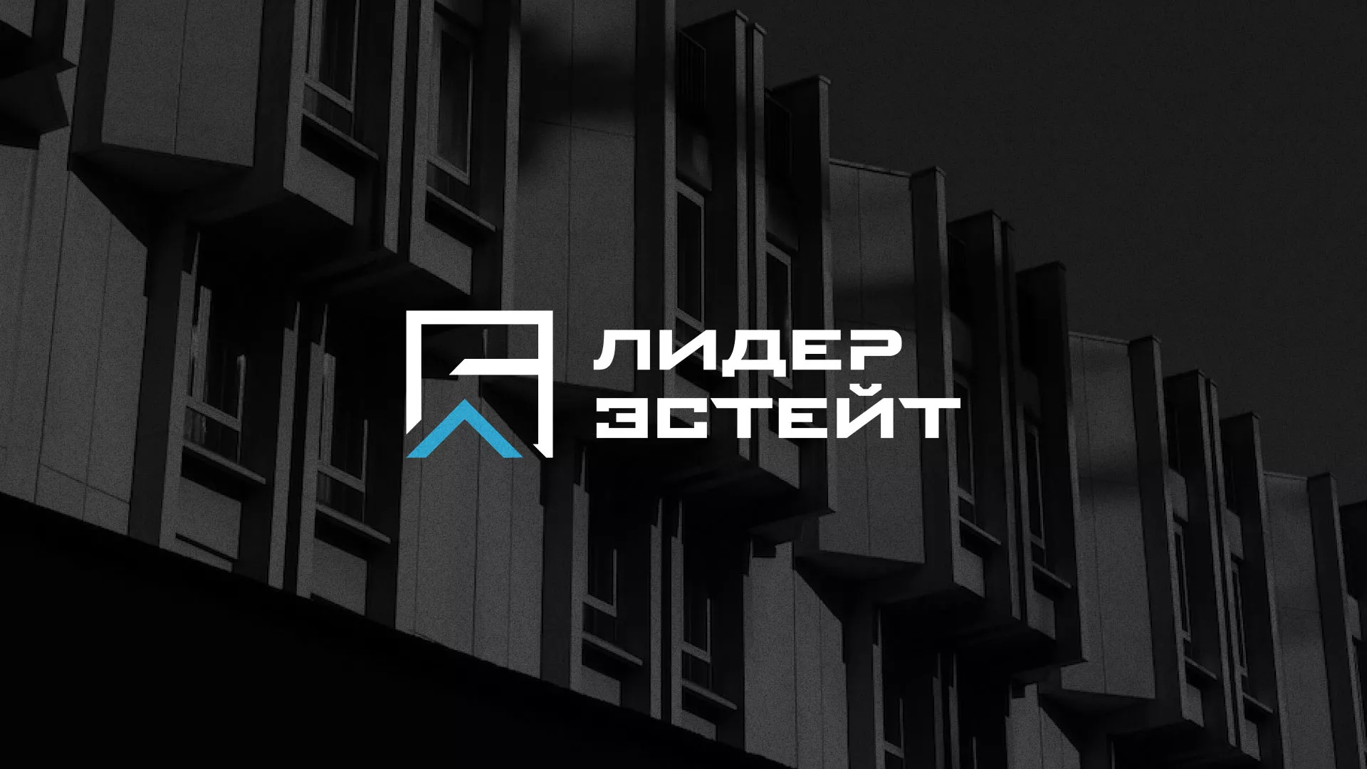 Разработка логотипа агентства недвижимости «Лидер Эстейт» в Пучеже